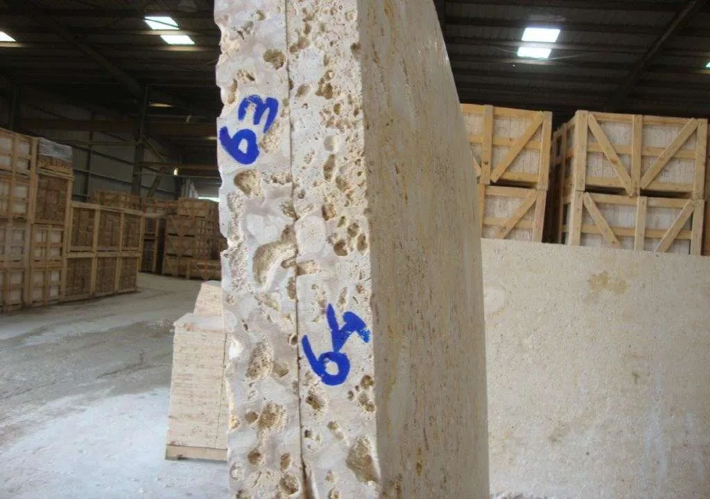 Raw coquina slab marked with dimensions at the quarry