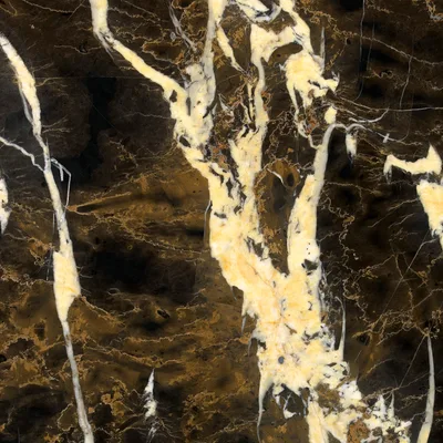 Black and Gold marble sample