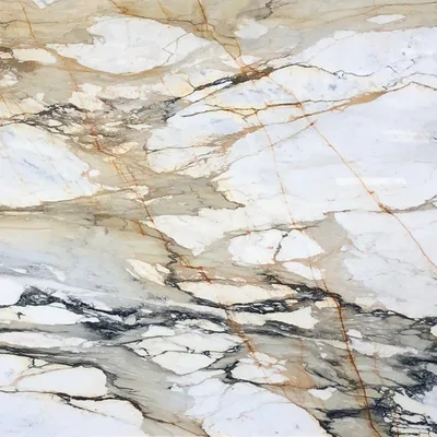 Calacatta Macchia Vecchia marble sample