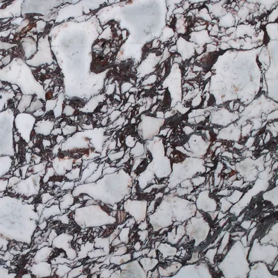 Calacatta Viola marble sample