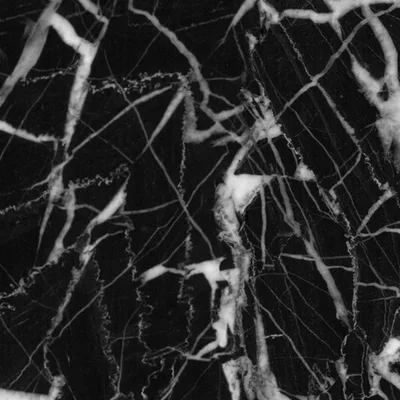 Nero Marquinia marble sample