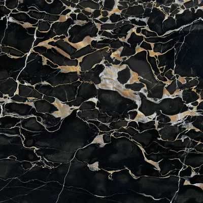 Nero Portoro marble sample
