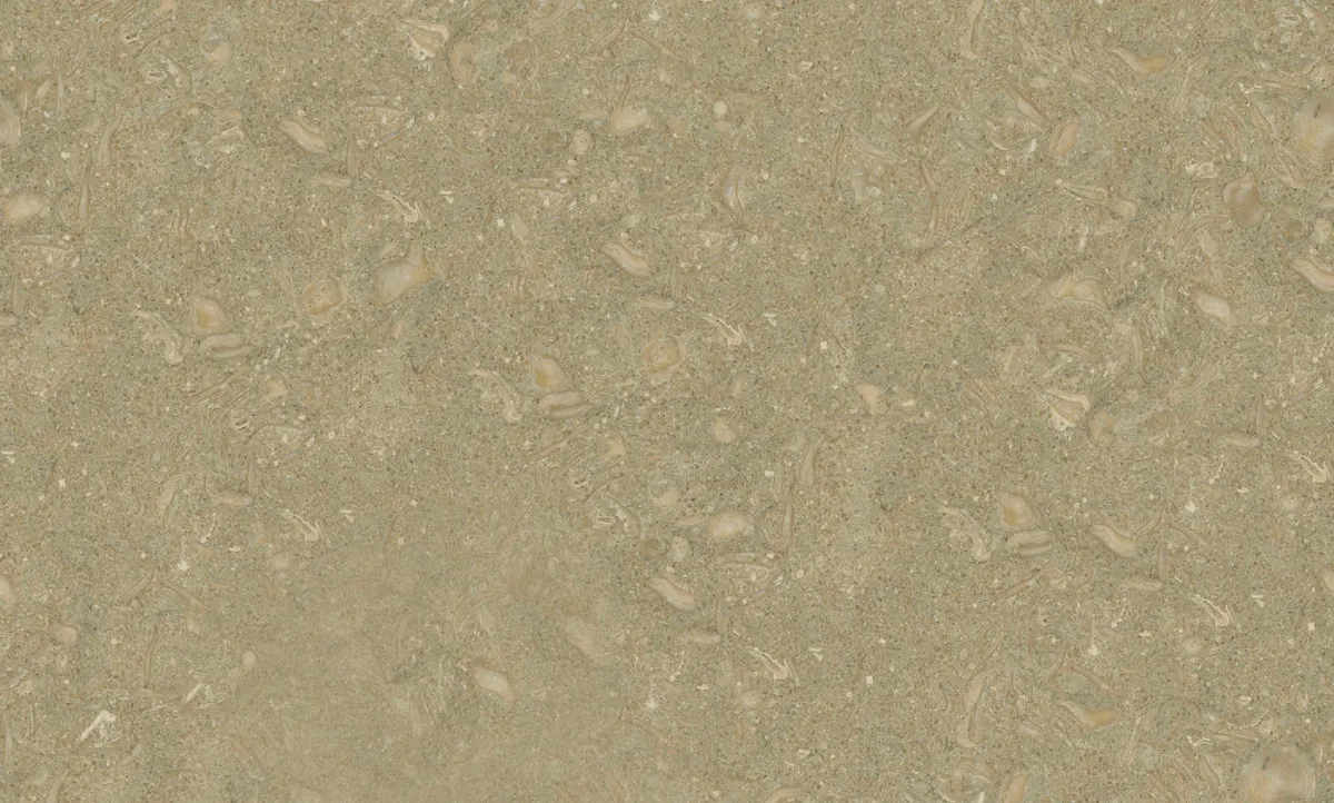 Fossil Green