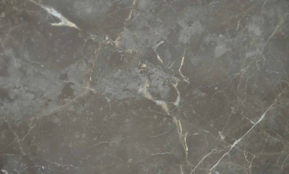 Grey Collemandina