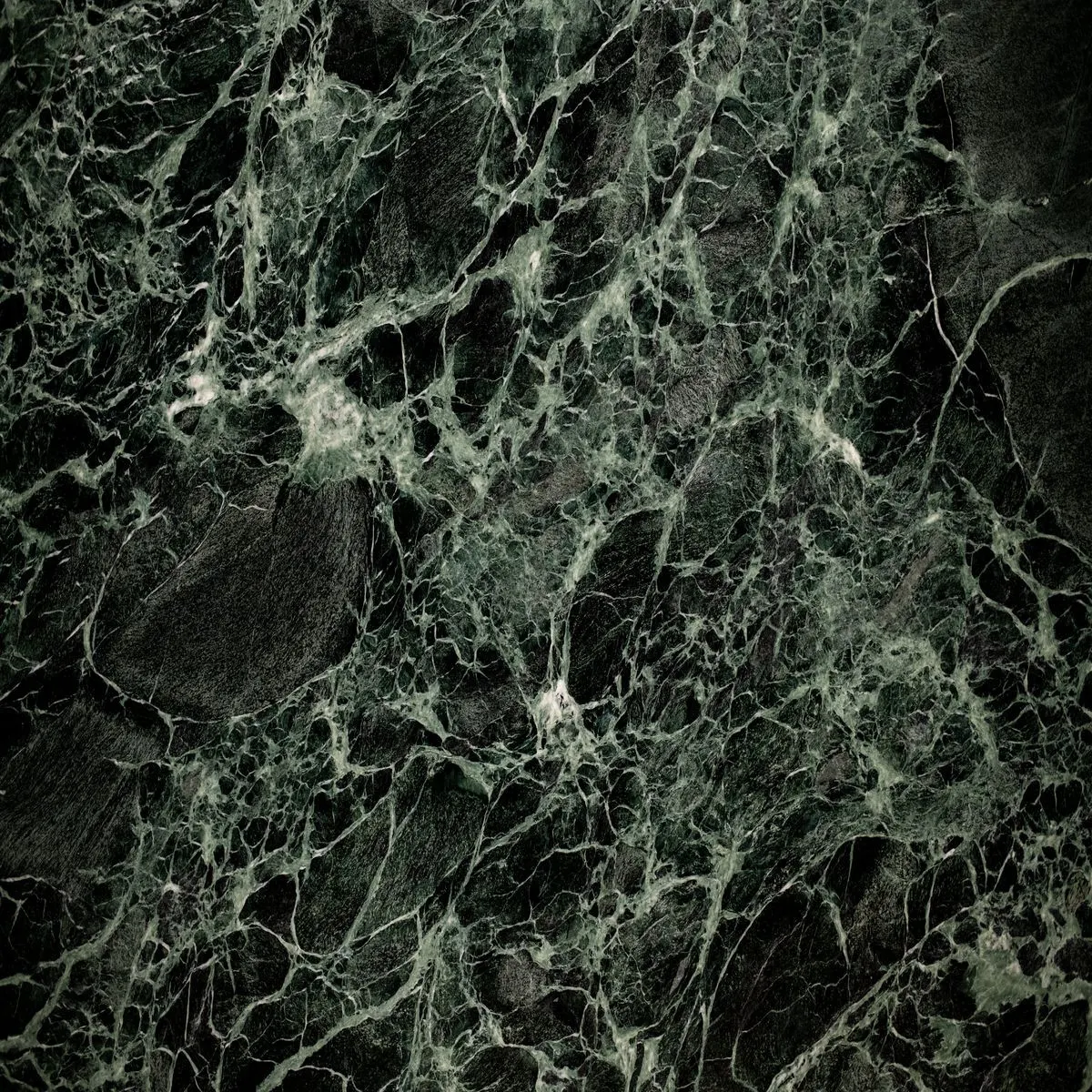 Verde Notte